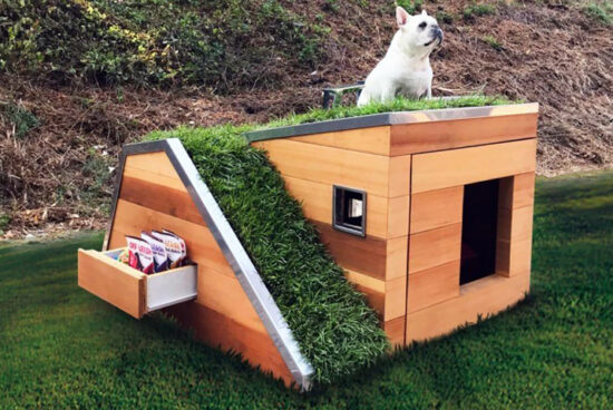 Casas de madera para perros